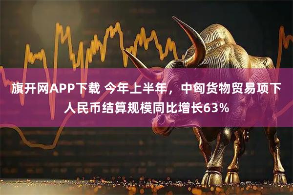 旗开网APP下载 今年上半年，中匈货物贸易项下人民币结算规模同比增长63%