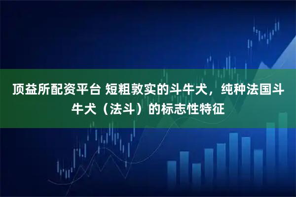 顶益所配资平台 短粗敦实的斗牛犬,纯种法国斗牛犬(法斗)的标志性特征