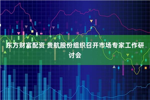 东方财富配资 贵航股份组织召开市场专家工作研讨会