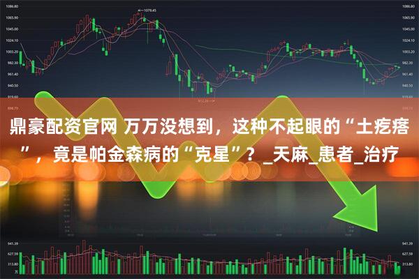 鼎豪配资官网 万万没想到，这种不起眼的“土疙瘩”，竟是帕金森病的“克星”？_天麻_患者_治疗