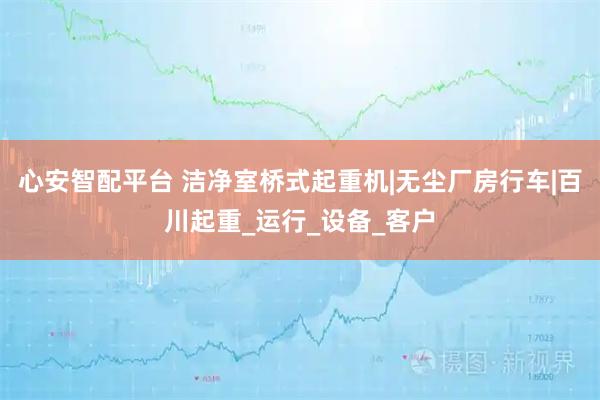 心安智配平台 洁净室桥式起重机|无尘厂房行车|百川起重_运行_设备_客户